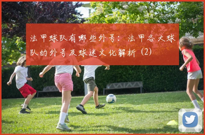 法甲球队有哪些外号：法甲各大球队的外号及球迷文化解析 (2)