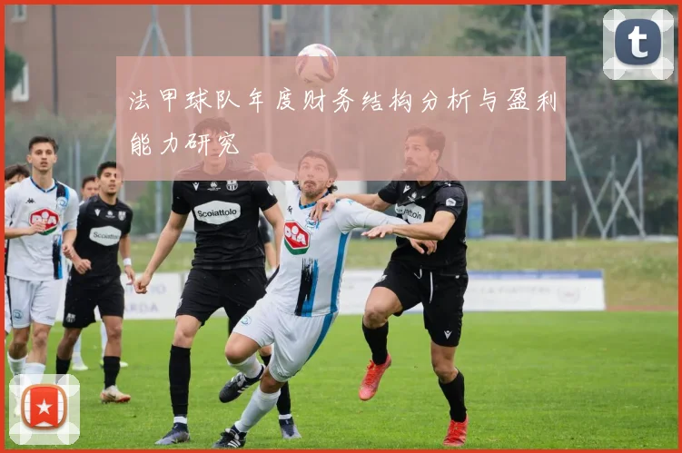法甲球队年度财务结构分析与盈利能力研究