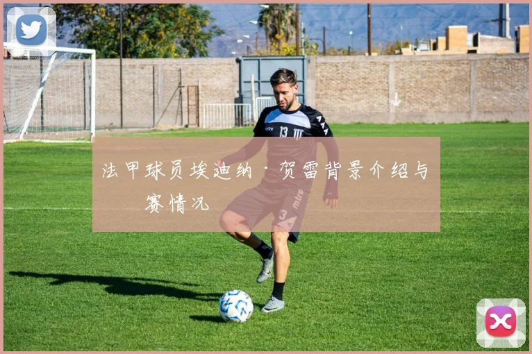 法甲球员埃迪纳·贺雷背景介绍与参赛情况