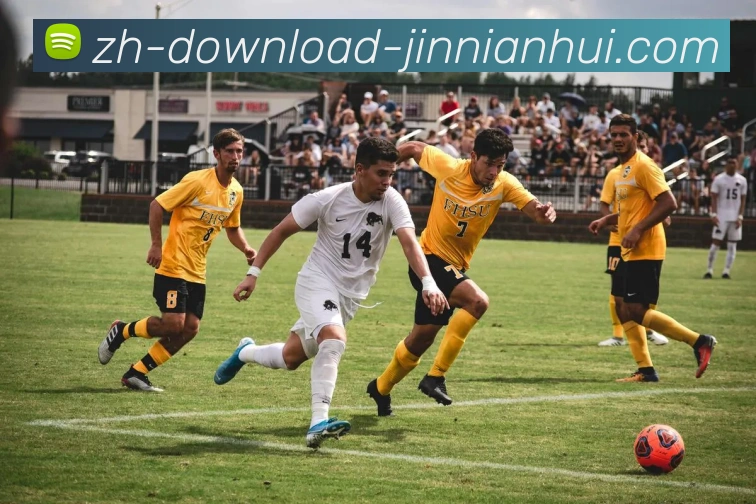 App Interface Preview